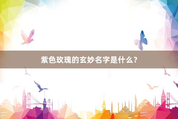 紫色玫瑰的玄妙名字是什么？